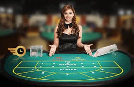 neko casino